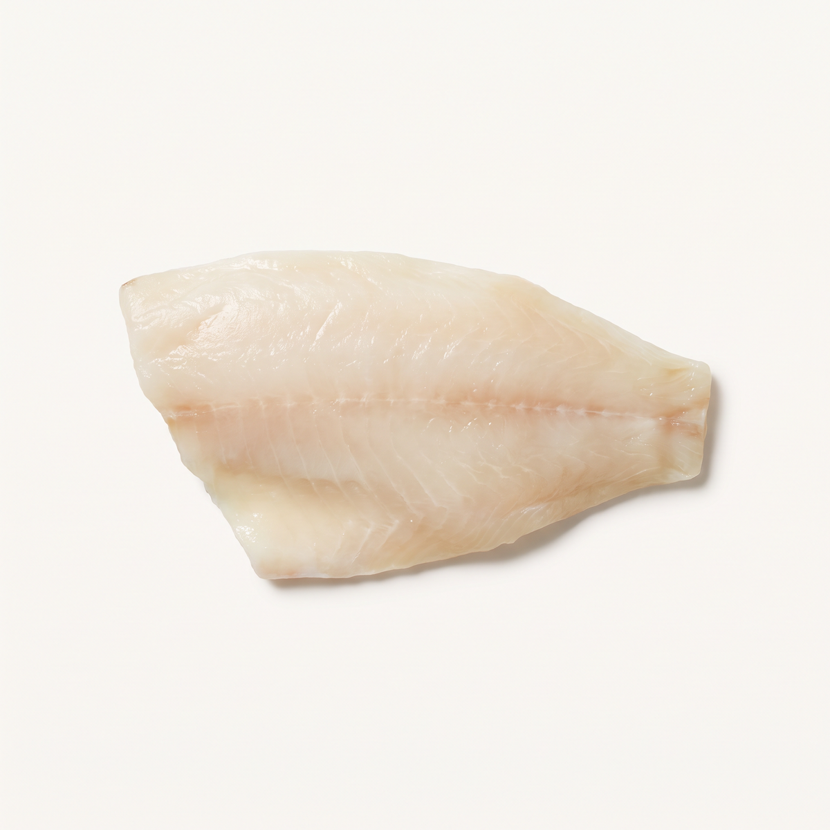 one raw boneless butterfish fillet portion, about eight ounces, pale ivory flesh, smooth moist texture, no smoke color or cooked sear
