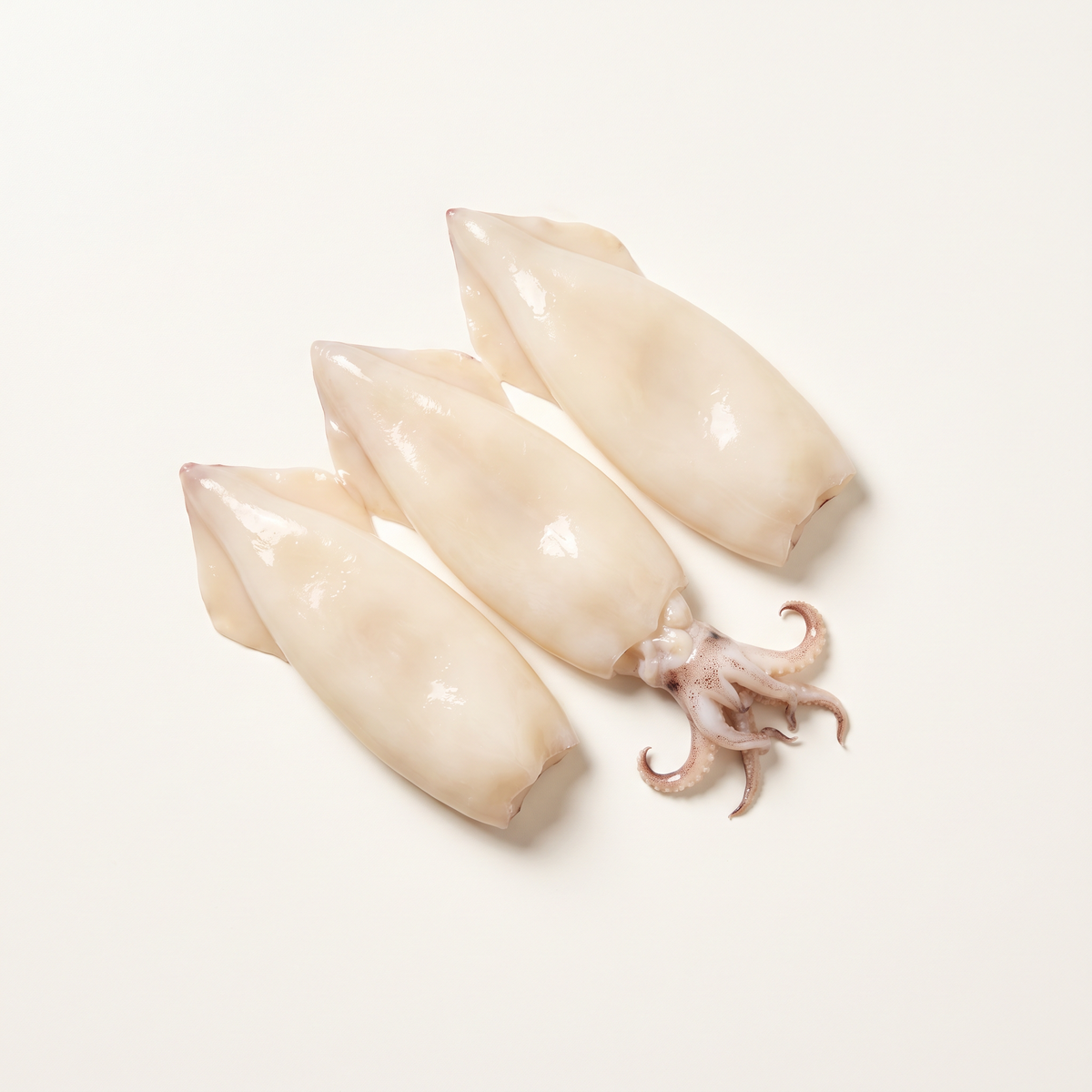 three large cleaned raw calamari tubes with a small natural cluster of their tentacles, pearly ivory moist flesh