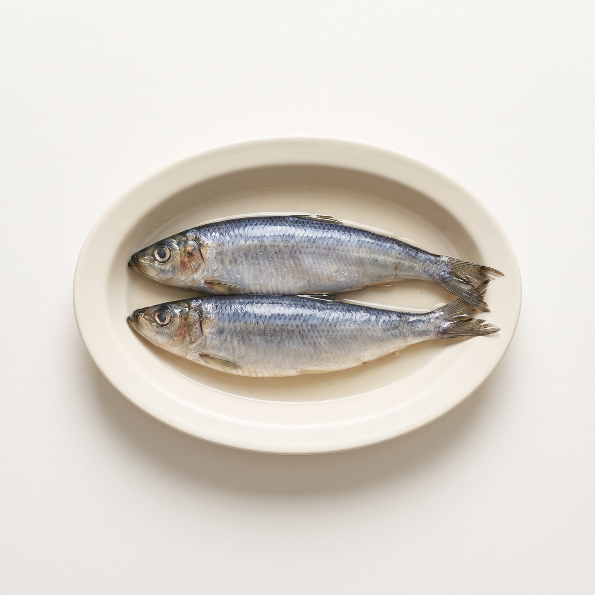two whole salted herring in a shallow plain ivory oval dish with a little clear brine, silvery skin and blue-grey backs