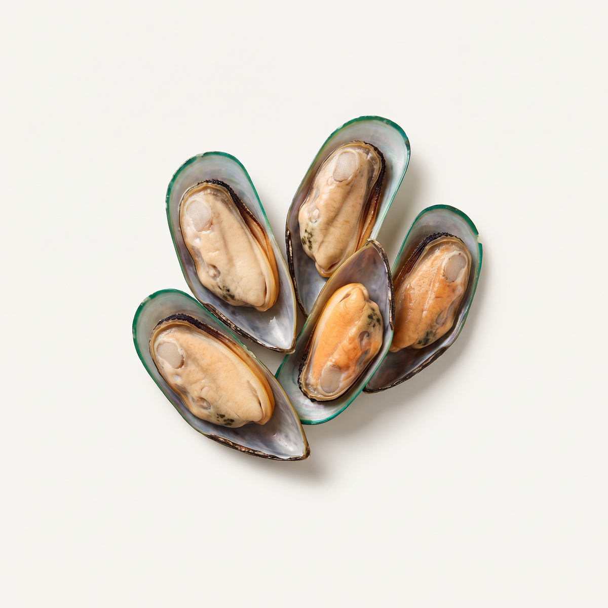five New Zealand green-lipped mussels on their half shells, dark emerald green shell rims, natural plump cream and orange flesh, no garnish