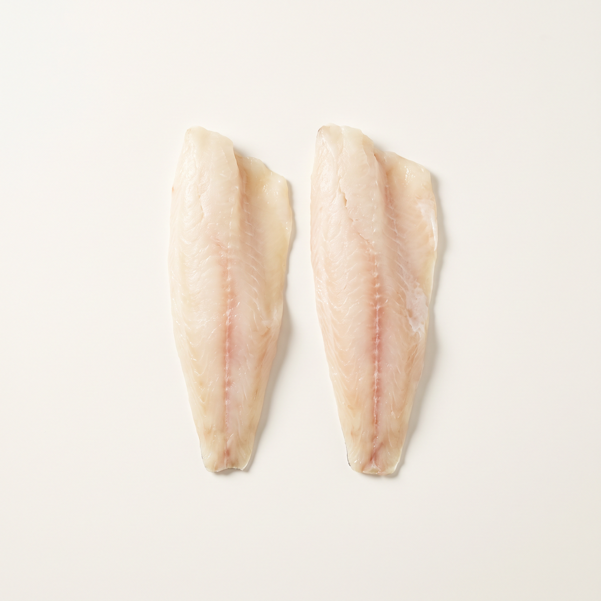 two raw white-fish fillets, delicate ivory flesh with subtle pale pink tones, natural tapered shape, no species-specific packaging or labels
