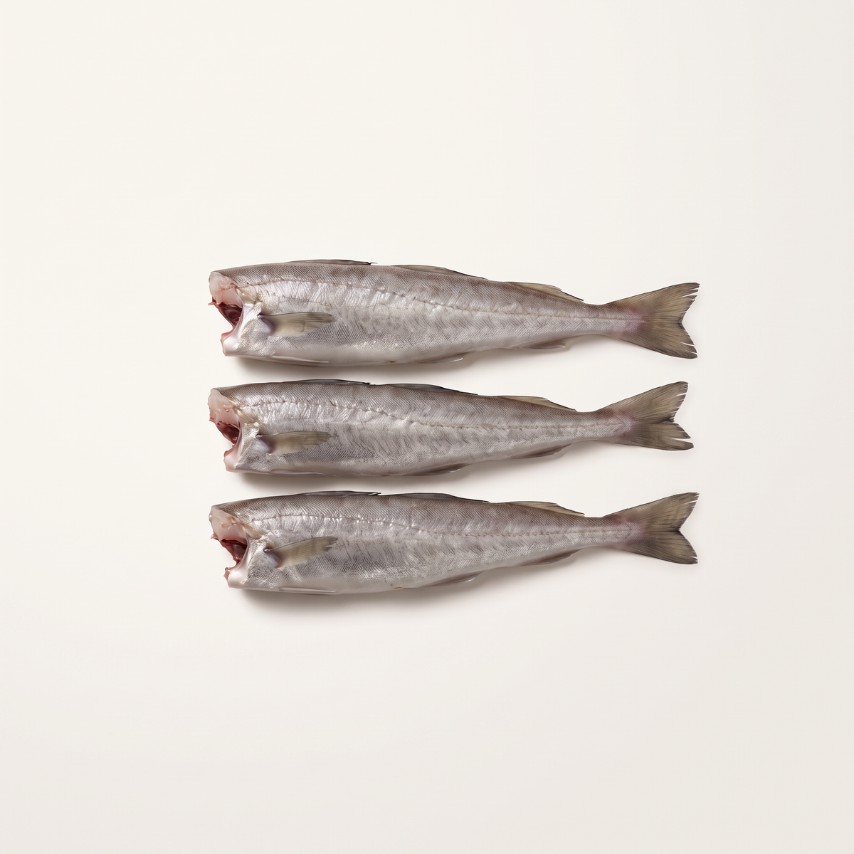 three fresh head-off gutted whiting, slender silver-grey bodies with intact tapering tails, clean non-graphic head cuts, no blood